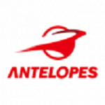Toyota Antelopes W